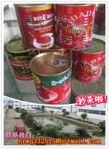provide  425g   canned   tomato  paste,Manufacturer