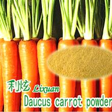 Dehydrated Carrot Powder