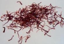 moroccan saffron pure