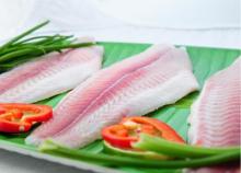 Pangasius fillet untrimmed