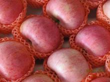 High Quality Qinguan Apple