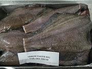 FROZEN ARROW TOOTH  FLOUNDER 