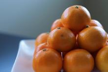 Fresh Citrus