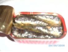 canned sardine