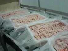Frozen Chicken Gizzards
