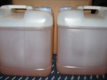 organic argan oil