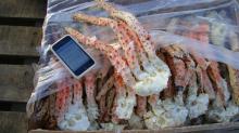 Argentine King Crab Clusters
