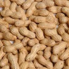 peanuts