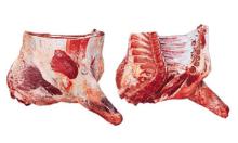 Beef Carcass (Halal) From Paraguay