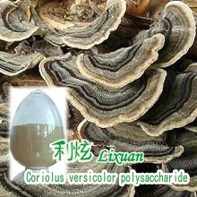  Coriolus  vesicolor extracts