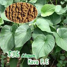 Kava Extracts (Kavalactones 30%)