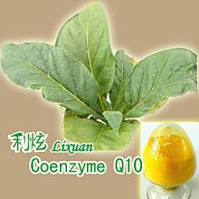 Coenzyme Q10