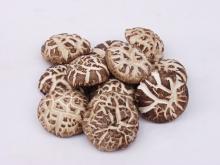 Dried shiitake mushroom