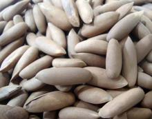 Pine Nuts