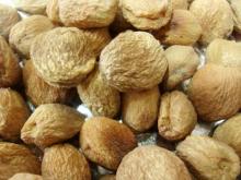  Dry   Apricot 