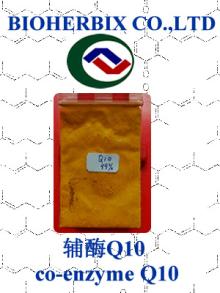 coenzyme Q10