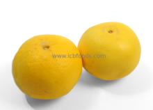 Grapefruits