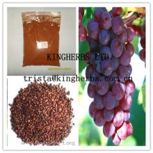 Grape Seed Extract