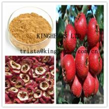  Hawthorn   Extract 