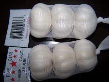 High Quality Garlic In China