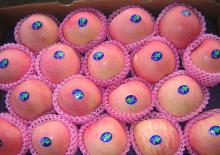 Fresh Juicy Fuji Apples