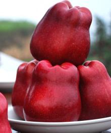 New Huaniu Apples Is On Sales