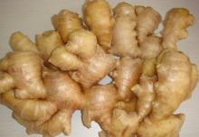 Fresh Yellow Ginger in 2011