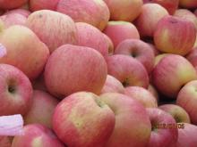Sell Red Apple/Fresh Fruit