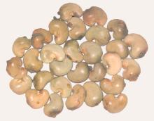 raw cashew nuts from Benin
