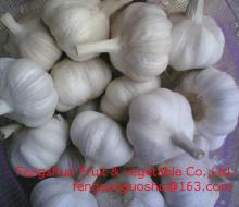 Vegetable garlic