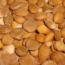 APRICOT KERNELS OF HIGH GRADE