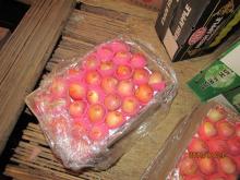 Qinguan Apple