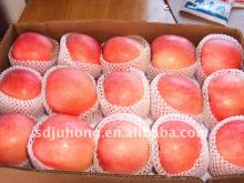 Fuji Apple/Red Apple