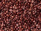 Robusta Coffee bean