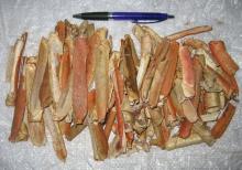 Snow Crab Shell