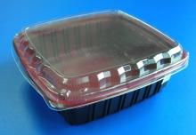 Plastic Food Container