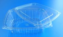 Disposable Food Container