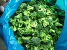IQF broccoli