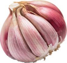 garlic powder