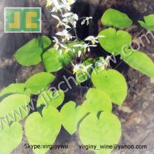 100%Natural Epimedium Extract Powder