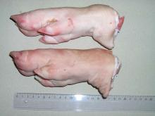 Frozen Pork Frontfeet,Toes on