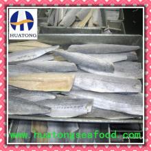 FROZEN SPANISH MACKEREL