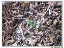 Dried Boletus Edulis Slices-Grade C( 2CM) AD Porcini/Porcino,Dried King Bolete