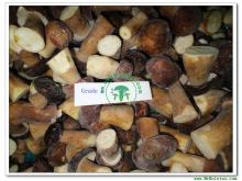 IQF Boletus Edulis (Frozen Boletus Edulis)-Whole Mushroom-Grade B(2-4CM)