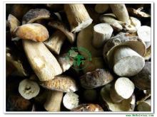 IQF Boletus Edulis (Frozen Boletus Edulis)-Whole Mushroom-Grade B(6-8CM)