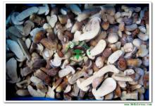 IQF Frozen Boletus Edulis Halves-Stem and Cap Grade A(2-4CM)