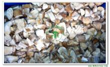 IQF Frozen Boletus Edulis Cubes -Mixed Stem and Cap Grade B(2*2CM)
