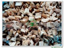 IQF Boletus Edulis (Frozen Boletus Edulis) Cubes-Stem Only Grade B(2*2CM)