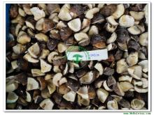 IQF Boletus Edulis (Frozen Boletus Edulis )-Cubes-Cap only -Grade A(2*2CM)