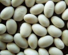 Latest White Kidney Beans,from Inner Mongolia,Chna